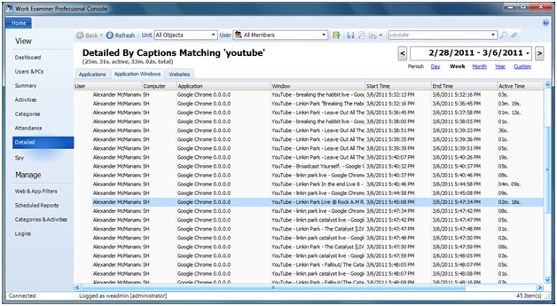 Detailed Application Widnows